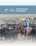 feedyard assessment cover photo