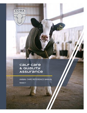 Online Modules Now Available for Calf Care and Quality Assurance Program